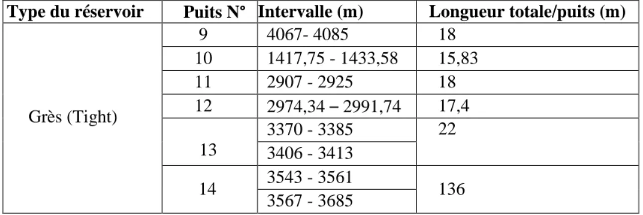 Tableau 3.2. Intervalles et longueur des carottes des puits de Quartzite. 