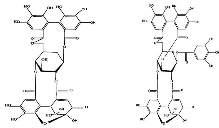 Figure 1-3 : Structure de base de la  granatine A.Figure 114 : Structure de base de granatine 8.