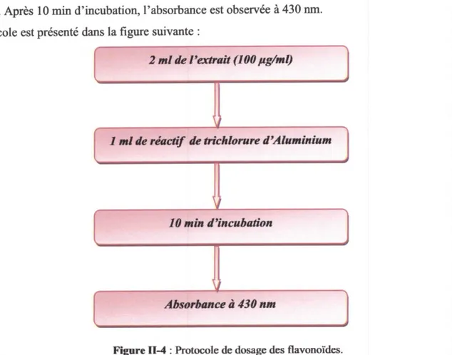 Figure nJ : Pmooole de dosage des flavonoïdes.