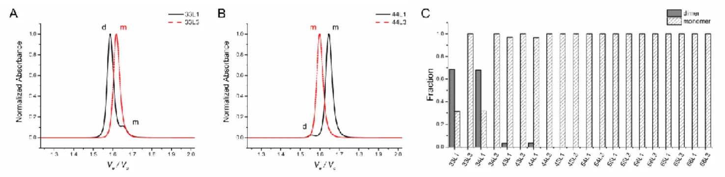 Figure 2 Molecularity of the folded species deduced from SE-HPLC analysis at pH 6.0. Normalized chromatograms of  (A) 33L1 and 33L3 and (B) 44L1 and 44L3