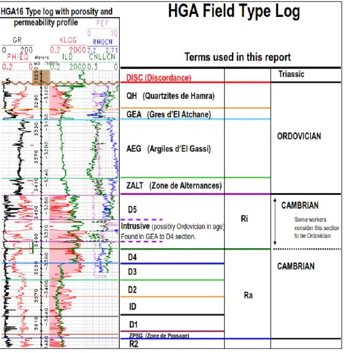 Figure III. 7 : Modèle type du log appliqué sur le champ de HGA (Rapport interne Sonatrach, 2012 inédit)  Ce  modèle  type  contient  tous  les  termes  utilisés    dans  les  graphes  qui  montrent  les  caractéristiques diagraphiques des intervalles intr