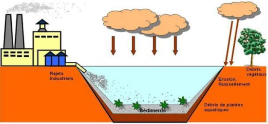 Fig 3 :  Formation  des sédiments  (Samara,  2007) 