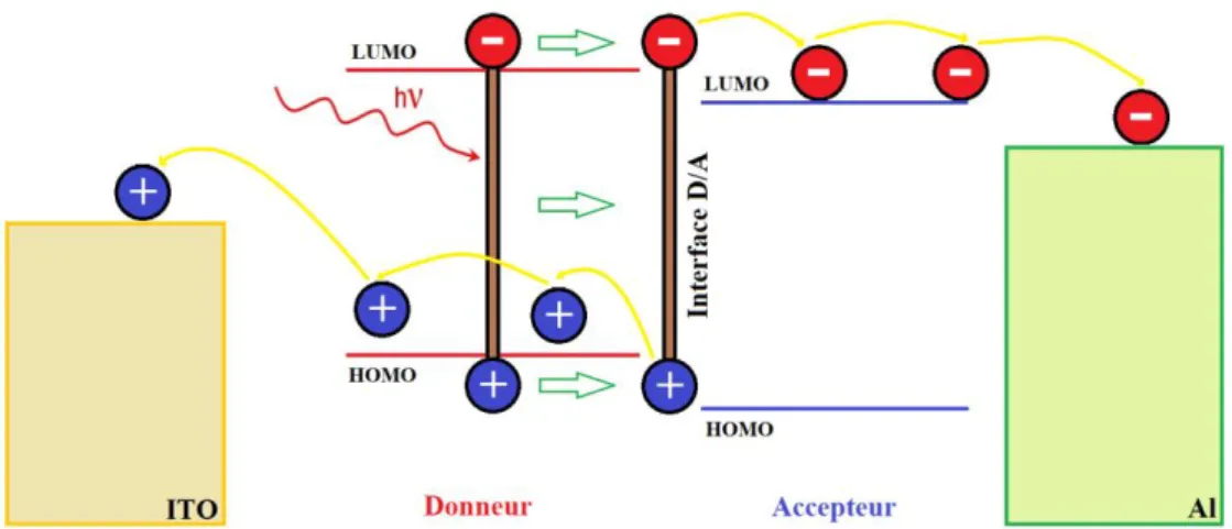 Fig. I- 17    Représentation des niveaux d’énergie d’une cellule bicouche de structure : contact  ITO/Donneur/accepteur/Al.
