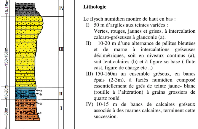 Figure 09 : Colonne lithologique synthétique du flysch Numidien (Djellit, 1987) 