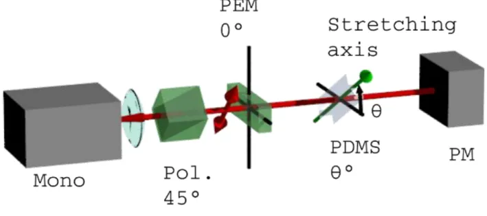 Figure A: Home-made polarimeter set-up: Optical components and axis definition. Mono: double grating monochromator, Pol.: 