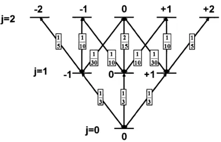 Figure  3-5:  Transition  probabilities  between  the  magnetic  sublevels  of the  rotational levels  j=O,  1,  and  2.