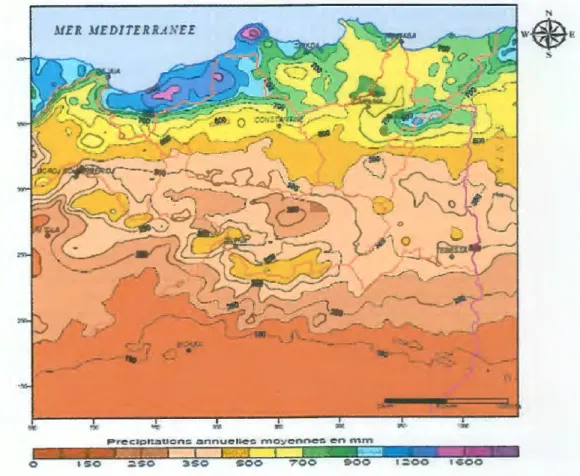 Fig. IL 7: Carte des précipitations annuelles moyennes de  l ' Est Algérien  (D'après A.NR.H , 1993) 