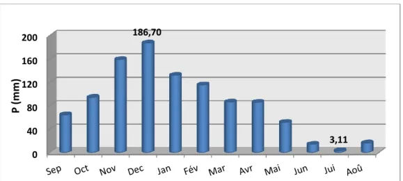 Figure 09 : Précipitations moyennes mensuelles de la station de l’Achouat (1988- 2014) 
