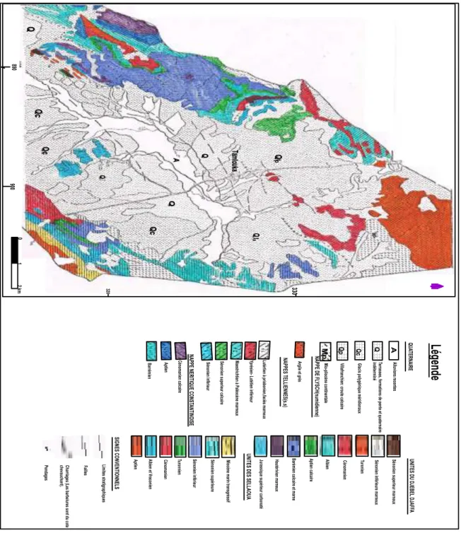 Figure 4 : Carte géologique de la plaine de Tamlouka.