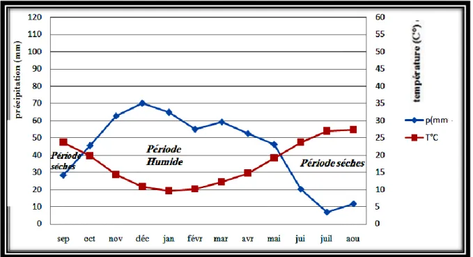 Tableau n°9 : précipitation et température moyenne mensuelles à la station d’Ain Makhlouf  (1986-2011)