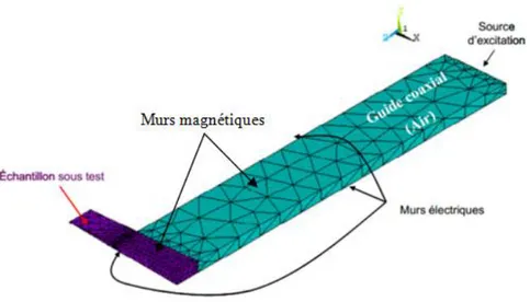 Figure II.7. Maillage et conditions aux limites pour la cellule SuperMit sans fenêtre