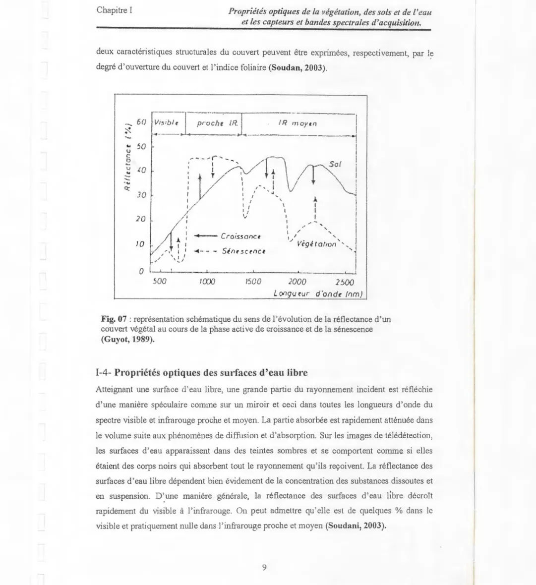Fig. 07  : représentation schématique du sens de  l'évolution de la réflectance d'tm  couvert végétal au cours de la phase active de croissance et de la  sénescence  (GU)'Ot,  1989)