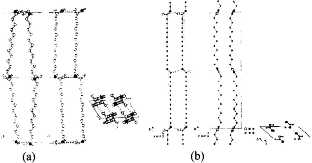 Figure 1-2 : Structures cristallines du PA12.