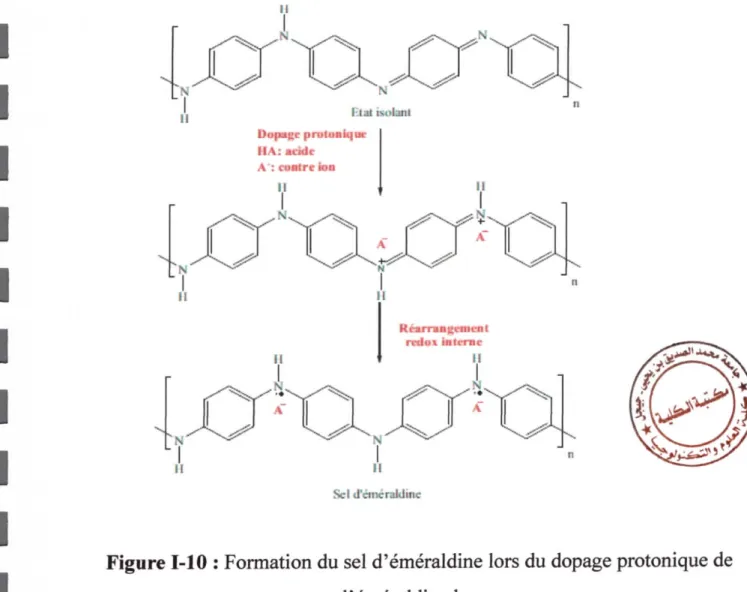 Figure 1-10 : Fomation du sel d'éméraldine lors du dopage protonique de l ' éméraldine base.