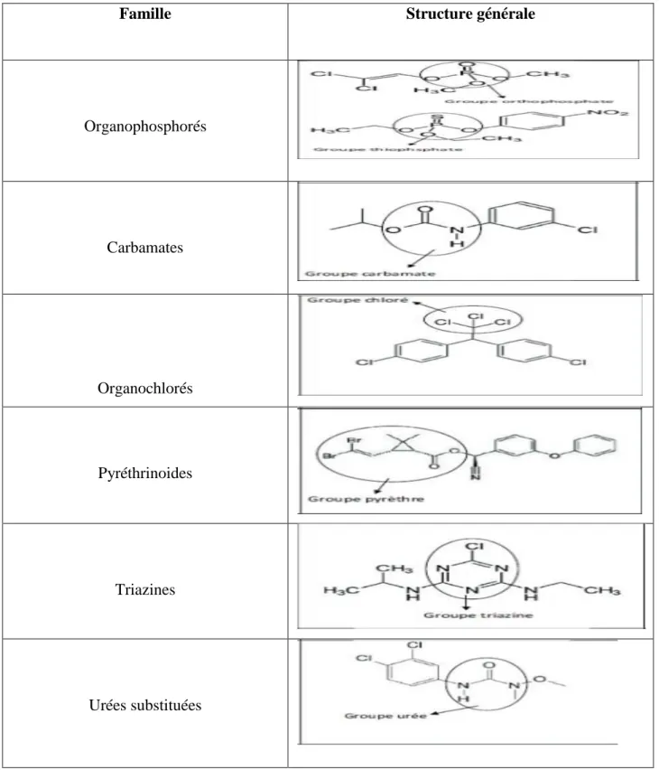 Tableau 03 : les structures des principales familles chimiques des pesticides (MP, 2007 in Errami,  2012 ; Tron, 2001)