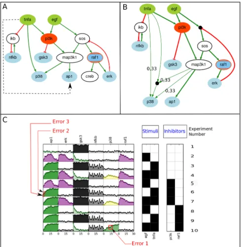 Figure 6: (A) Compressed PKN from [5]. Green and red edges indicate activations and inhibitions respectively