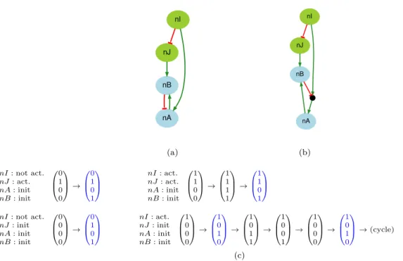 Figure 1: (a) PKN used for the toy example with its associated logical network (b). In (b), the AND gate in f nA = ¬nB ∧ nI is represented by a black circle whereas in (a), the OR gate in f nA = ¬nB ∨ nI is represented by two distinct edges