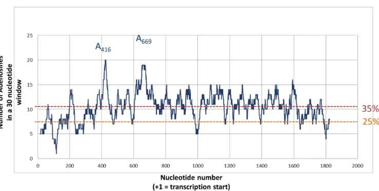 Figure 6. Adenosine distribution in HIV-1 Gag open reading frame. For each nucleotide within the 5’ UTR and the whole Gag ORF of the PNL4.3, the number of Adenosine within the 20 surrounding positions (9 in 5  and 10 in 3  ) was plotted