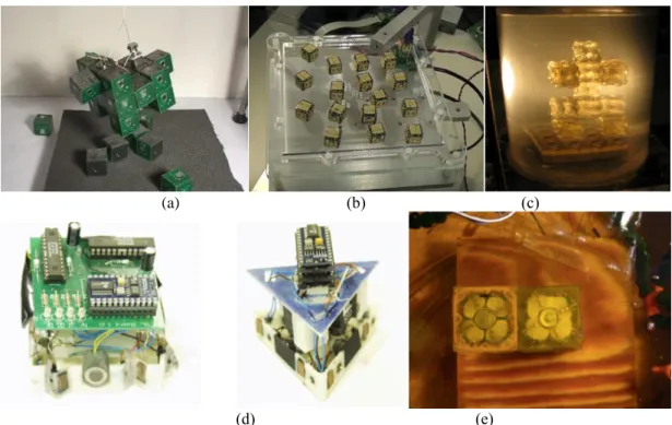 Figure II-8 Some MRRs without actuation system: (a) Miche, (b) Pebbles, (c) Single-material, (d) Two prototype of  Stochastic 2D units, (e) Stochastic 3D 