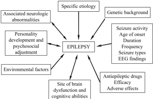 Figure 1.1: Different interacting factors that contribute to the totality of epilepsy [Engel 2008].