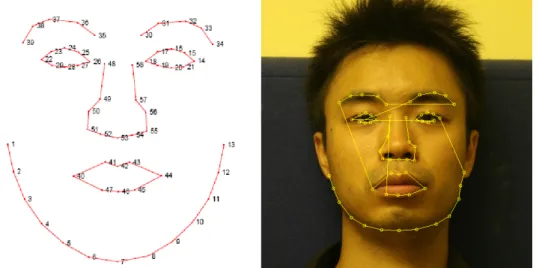 Figure 2.1: Landmark positions and the contours of a 58-points template for facial analysis.