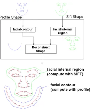 Figure 2.4: Combined landmark detection model: 45 landmarks define the facial inter- inter-nal region model (represented with SIFT features) and 13 landmarks define the facial contour model (represented with GLP features).