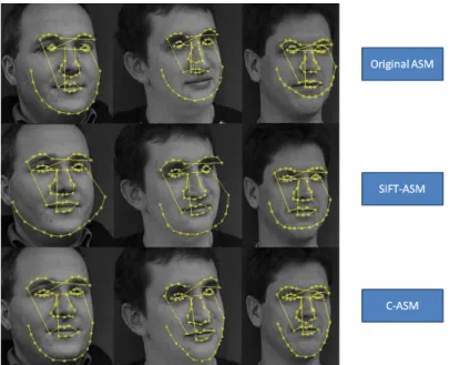Figure 2.6: Typical fitting result of non frontal faces achieved by original ASM (top row), SIFT-ASM (middle row) and C-ASM (bottom row)