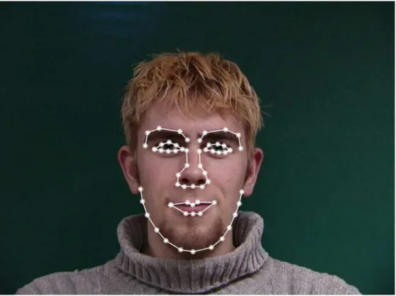 Figure 2.7: Annotated face image from the IMM face database [63].