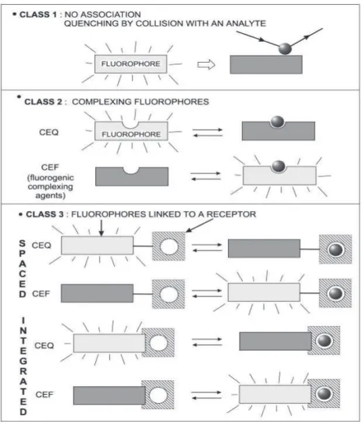 Figure 2.2. Main classes of fluorescent molecular sensors classified by Valeur (from ref