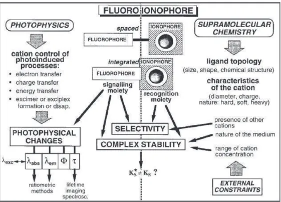 Figure 2.3. Main aspects of fluorescent molecular sensors for cation recognition  (fluoroionophore) (from ref 10 )