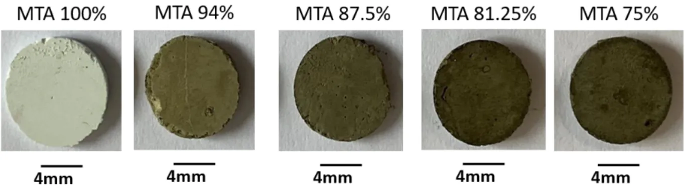 Fig. 2: visual changes of MTA and MTA@TA materials in contact with water  for 24 h and dried before image capture