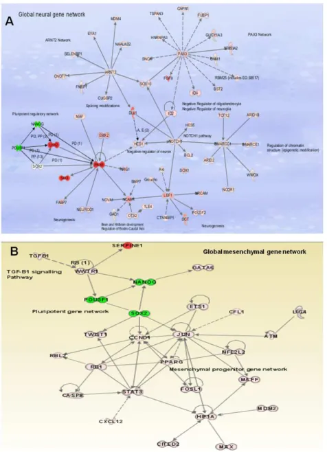 Figure 2 : Global gene networks. Networks were constructed using the Ingenuity software based on  expression relationships described in the literature