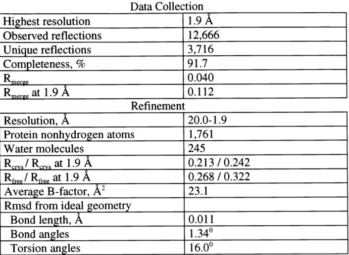 Table  1: Data Collection  and Refinement  Statistics Data Collection Highest  resolution  1.9  A Observed  reflections  12,666 Unique  reflections  3,716 Completeness,  %  91.7 Rmerge  0.040 Rmergeat  1.9A  0.112 Refinement Resolution,  A  20.0-1.9
