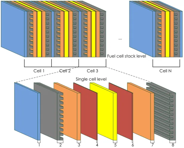 Figure 1.1 PEMFC stack level and the single cell level 