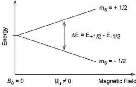 Figure 2.25  Energy-level diagram for S=1/2 and no zero-field splitting. 