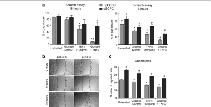 Fig. 5 Acidic preconditioning improves endothelial colony-forming cell (EFCF) migration under stressful conditions