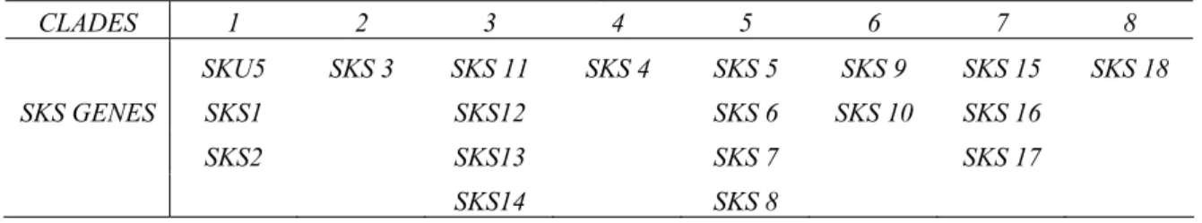 Table I-5. SKS members exist in different clades of phylogenetic tree. 