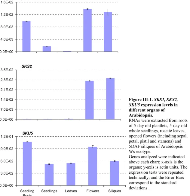 Figure III-1. SKS1, SKS2,  SKU5 expression levels in  different organs of  Arabidopsis