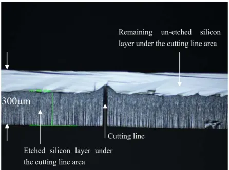 Figure 3.48: Cross-sectional view microphotography of the cut die edge. 