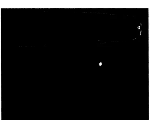 Figure  2-5:  A  capillary  with  a  ribbon  inside  it.  The  ribbon  was  drawn  into  the capillary using  a Cell-Tram  pump.