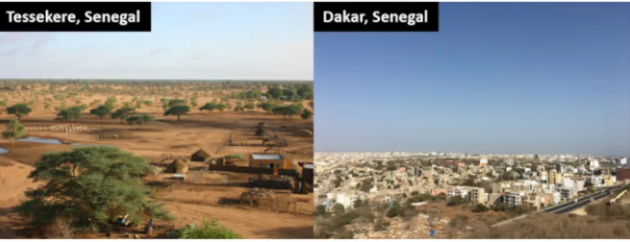 Fig 1. Photographs of the city of Dakar and part of the commune of Tessekere (Senegal) (G Boe¨tsch; E Macia).