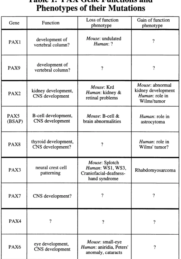 Table  1.  PAX Gene Functions and Phenotypes of their Mutations