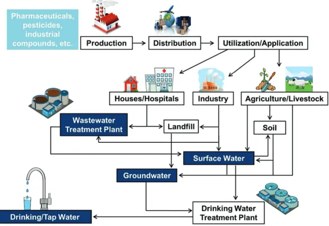 Figure 1.1. Representative sources and routes of micro-pollutants in the environment  [20]