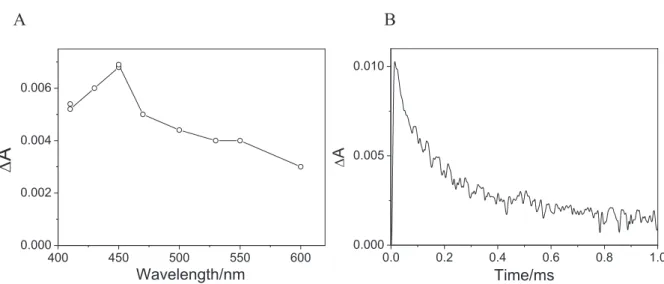 Figure 3.2. Excitation of a solution containing PS and NLNOM. Transient spectrum  measured 50 Ps after the pulse end (A) and absorbance decay measured at 450 nm (B)