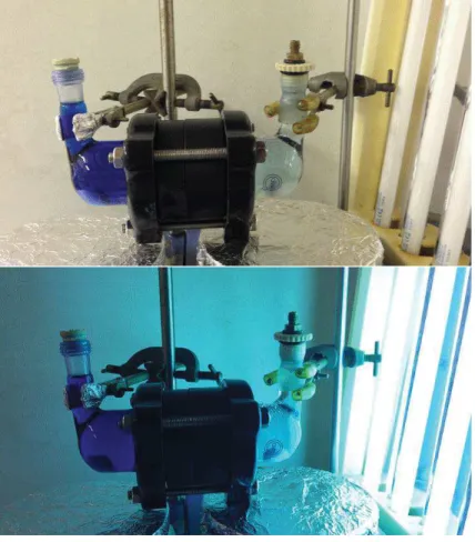 Fig. 2-16 Photos of the diffusion test with UV lamp off (up) and on (bottom).
