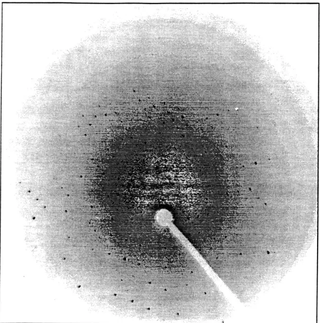 Figure  13.  CCD  detector image  collected  on  a  frozen crystal  of platinated DNA  at  NSLS-X8C