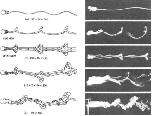 Figure 1.11: Patterns of vortex shedding in the wake of a sphere by Sakamoto &amp; Haniu (1990).