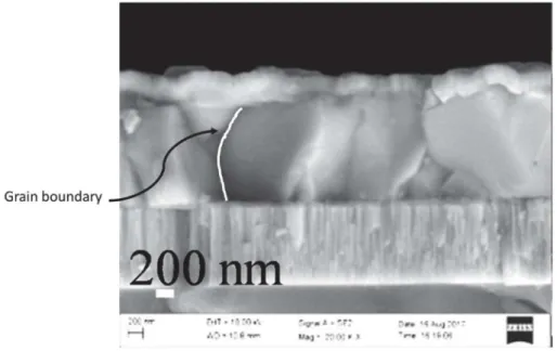 Figure 1-4 A TEM image which show the grain boundaries in CIGS grown on Mo/glass. [80] 