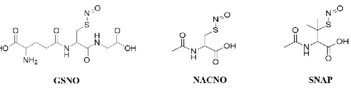 Figure 10. Structure of GSNO, NACNO and SNAP 56,57 .   