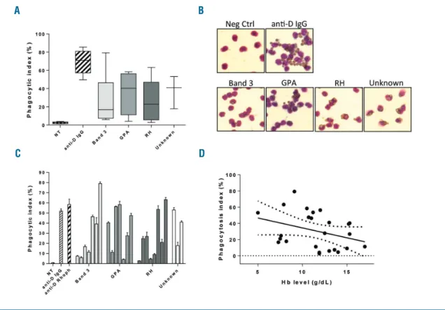 Figure 2. Determination of the phagocytosis index of monocytes against eluate-sensitized RBCs, as a function of autoAb specificity